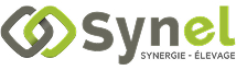 Logo Synel
